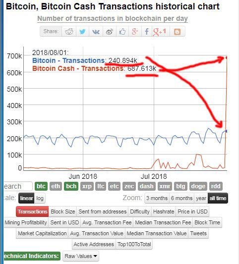 Bitcoin Cash провел в день транзакций больше, чем биткоин когда-либо