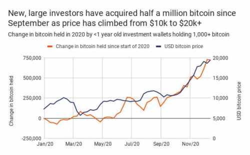 Bitcoin Whales Have Accumulated 500,000 BTC Since September 14