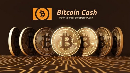 Что собой представляет Bitcoin Cash и какие по нему прогнозы
