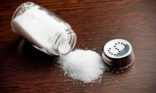 Диетологи выяснили, как связаны соль и чувство голода. 373140_ls.jpg