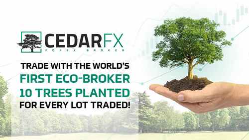 Кто такой CedarFX? Экологичный онлайн-брокер!