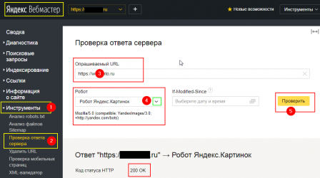 Проверка ответа сервера —Яндекс.Вебмастер