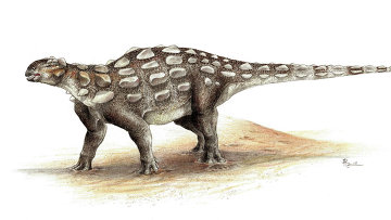 Один из первых анкилозавров – гобизавр, обладавший жестким хвостом, но не булавой
