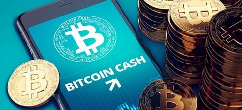Предсказание цены Bitcoin Cash (BCH) на 2019 год