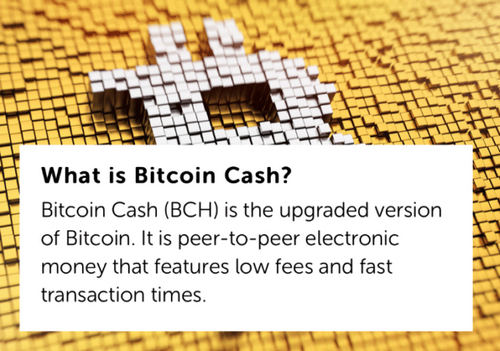 Роджер Вер дает определение Bitcoin Cash