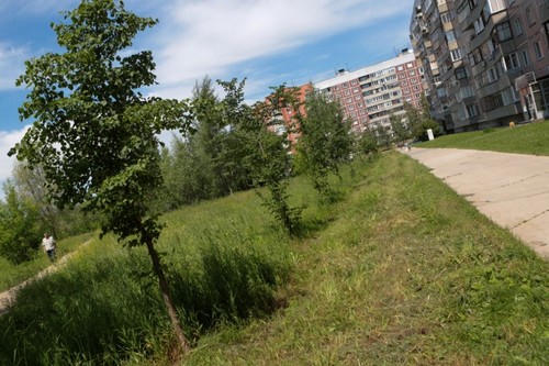 Сквер вместо высотки: на знаменитом пустыре Академгородка разобьют парк