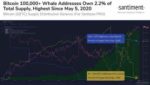 Биткойн-киты, BTC, выросли до 11-месячного максимума