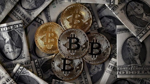 Флорида разрешит платить налоги в Биткоине и Bitcoin Cash