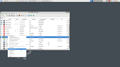 Установка и настройка Qubes OS 4