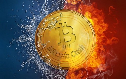 В сети Bitcoin Cash произошел хардфорк